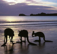 Beachcomber Cove Track - Accommodation Nelson Bay