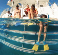 Australian Sunset Safaris - Accommodation Nelson Bay