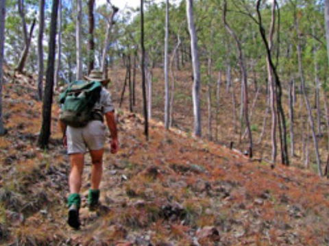 Shepherd's Peak Trail - Accommodation Nelson Bay 0