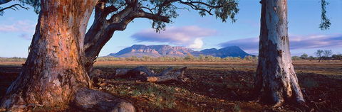 Nissarana Galleries Noosa - Accommodation Nelson Bay 1