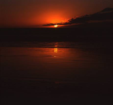 Nissarana Galleries Noosa - Accommodation Nelson Bay 3