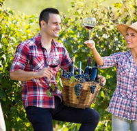 Two Tails Wines - Accommodation Nelson Bay