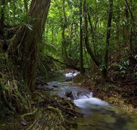 Trek North - Accommodation Nelson Bay