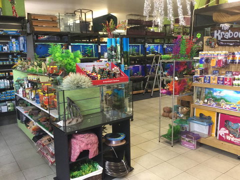 Pets Wonderland - Accommodation Nelson Bay 2