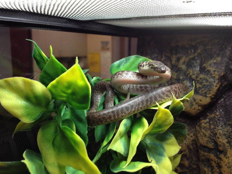 Pets Wonderland - Accommodation Nelson Bay 3