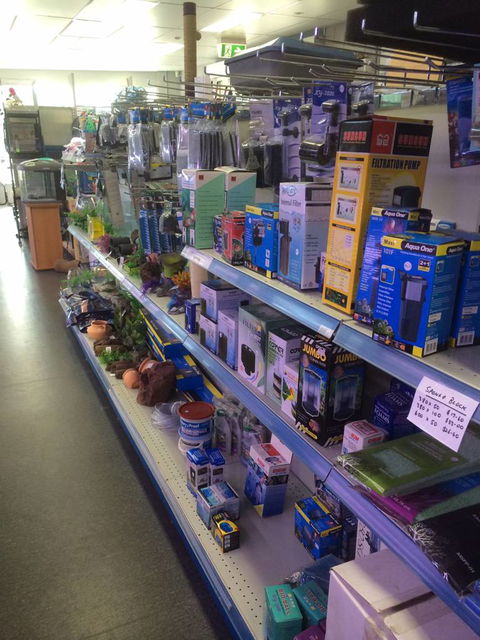 Nambour Pet Shop - Accommodation Nelson Bay 2