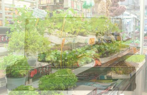 Warrawong Markets - Accommodation Nelson Bay 2