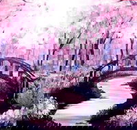 Pink Forest - Boardwalk Bar 4.00-6.00pm - Accommodation Nelson Bay