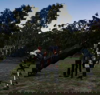 Stargazing Busselton with Mobile Observatory - Accommodation Nelson Bay