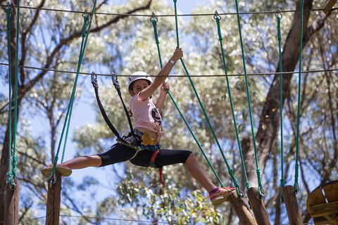 Busselton High Ropes And Zipline Adventure - Accommodation Nelson Bay 1
