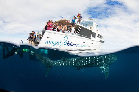 VIP Luxury Chartered Escapes, Exploring The Reef At Your Own Pace - Accommodation Nelson Bay 0