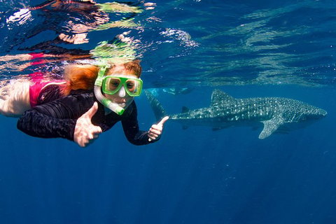 VIP Luxury Chartered Escapes, Exploring The Reef At Your Own Pace - Accommodation Nelson Bay 20