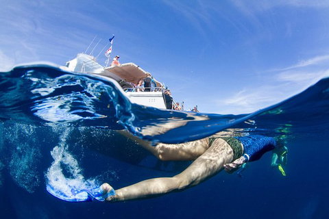 VIP Luxury Chartered Escapes, Exploring The Reef At Your Own Pace - Accommodation Nelson Bay 40