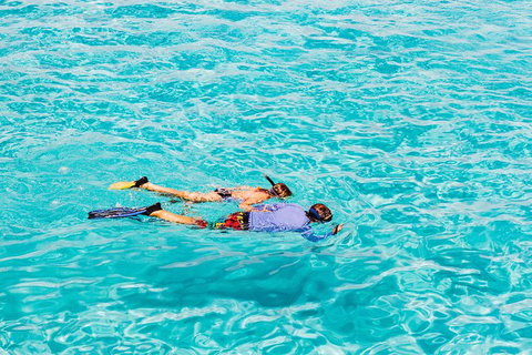 VIP Luxury Chartered Escapes, Exploring The Reef At Your Own Pace - Accommodation Nelson Bay 29