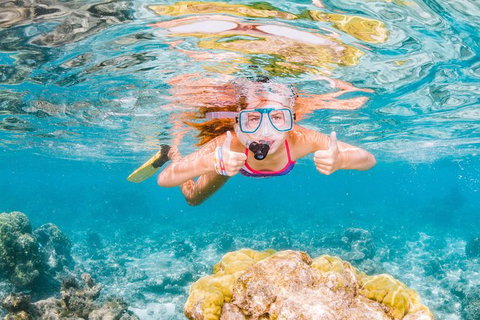 VIP Luxury Chartered Escapes, Exploring The Reef At Your Own Pace - Accommodation Nelson Bay 48