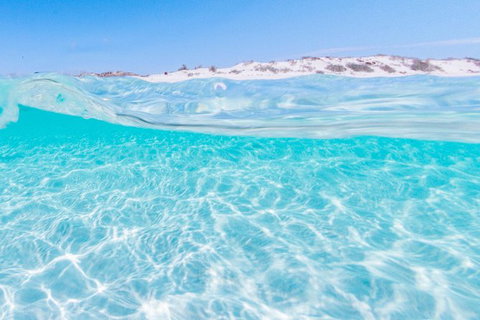 VIP Luxury Chartered Escapes, Exploring The Reef At Your Own Pace - Accommodation Nelson Bay 39