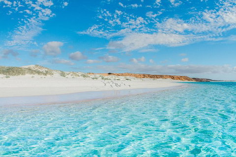 VIP Luxury Chartered Escapes, Exploring The Reef At Your Own Pace - Accommodation Nelson Bay 36