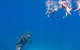VIP Luxury Chartered Escapes, Exploring The Reef At Your Own Pace - thumb 22