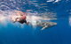 VIP Luxury Chartered Escapes, Exploring The Reef At Your Own Pace - thumb 8