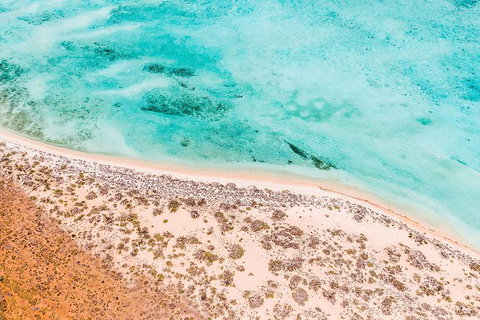 VIP Luxury Chartered Escapes, Exploring The Reef At Your Own Pace - Accommodation Nelson Bay 4