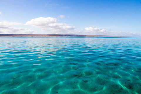 VIP Luxury Chartered Escapes, Exploring The Reef At Your Own Pace - Accommodation Nelson Bay 32
