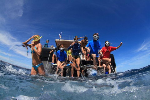 VIP Luxury Chartered Escapes, Exploring The Reef At Your Own Pace - Accommodation Nelson Bay 17
