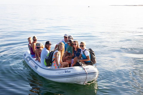 VIP Luxury Chartered Escapes, Exploring The Reef At Your Own Pace - Accommodation Nelson Bay 43