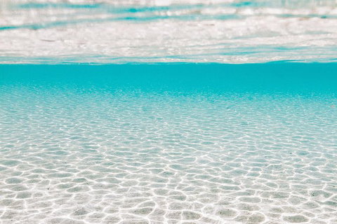 VIP Luxury Chartered Escapes, Exploring The Reef At Your Own Pace - Accommodation Nelson Bay 44