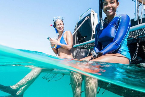 VIP Luxury Chartered Escapes, Exploring The Reef At Your Own Pace - Accommodation Nelson Bay 24