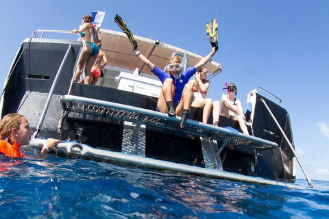 VIP Luxury Chartered Escapes, Exploring The Reef At Your Own Pace - Accommodation Nelson Bay 25