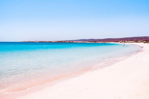 VIP Luxury Chartered Escapes, Exploring The Reef At Your Own Pace - Accommodation Nelson Bay 45