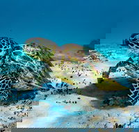 Turtle and Reef Adventure - Accommodation Nelson Bay