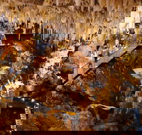 Jewel Cave Fully-guided Tour - Accommodation Nelson Bay