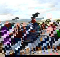 Margaret River Wine and Sights Discovery Tour from Busselton or Dunsborough - Accommodation Nelson Bay