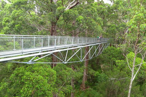 Albany Southwest Wilderness Day Tour - Fly From Perth - Accommodation Nelson Bay 2
