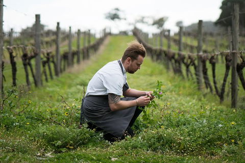 Vasse Felix Epicurean Tour And Tasting Experience With 5 Course Lunch - Accommodation Nelson Bay 9