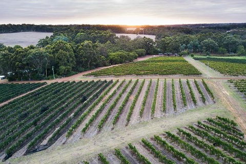 Vasse Felix Epicurean Tour And Tasting Experience With 5 Course Lunch - Accommodation Nelson Bay 7