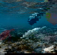 3 Night Ningaloo Reef Snorkel and Dive Getaway from Coral Bay - Accommodation Nelson Bay