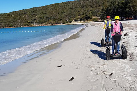 Albany Summit To Sea Adventure - Guided Segway Tour - Accommodation Nelson Bay 1