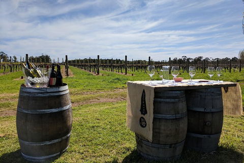 Margaret River Small-Group Full-Day Wine & Food Tour - Accommodation Nelson Bay 4
