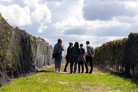 Margaret River Small-Group Full-Day Wine & Food Tour - Accommodation Nelson Bay 5