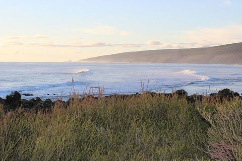 Margaret River Indulge And Discover Day Tour - Accommodation Nelson Bay 1
