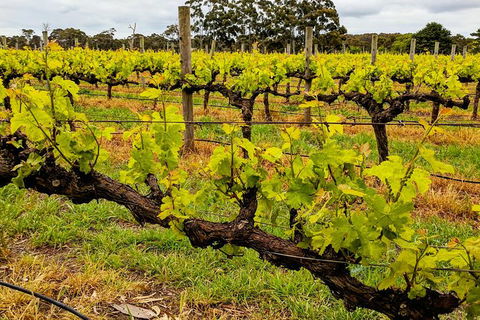 Margaret River Indulge And Discover Day Tour - Accommodation Nelson Bay 20
