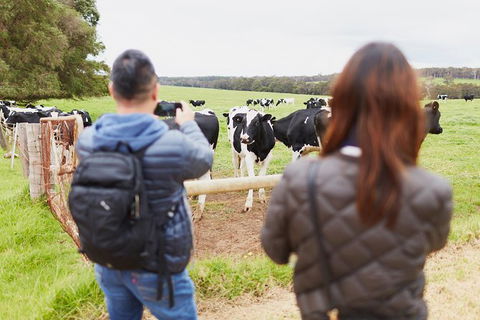 Margaret River Indulge And Discover Day Tour - Accommodation Nelson Bay 14