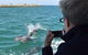 Mandurah Dolphin Island Adventure - thumb 0