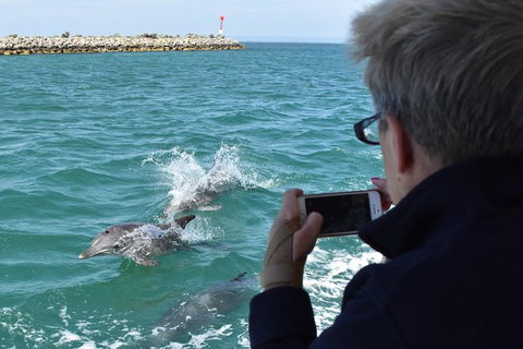 Mandurah Dolphin Island Adventure - Accommodation Nelson Bay 0