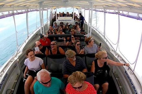 Mandurah Dolphin Island Adventure - Accommodation Nelson Bay 1