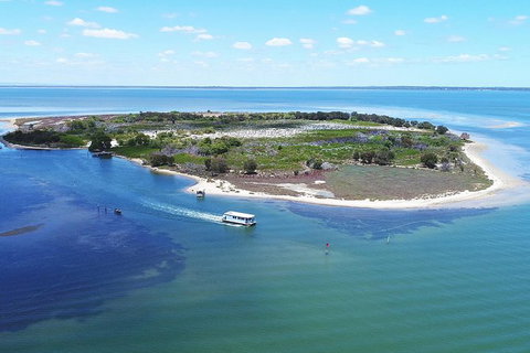 Mandurah Dolphin Island Adventure - Accommodation Nelson Bay 8