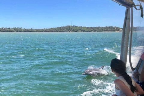 Mandurah Dolphin Island Adventure - Accommodation Nelson Bay 9