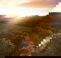 Leeuwin Estate Food and Wine Experience - Accommodation Nelson Bay